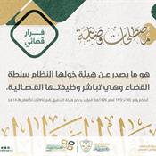 مصطلحات قضائية - قرار قضائي.jpg